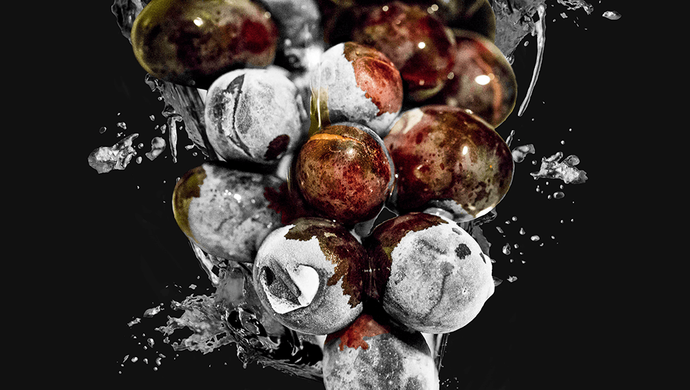 Photography 2